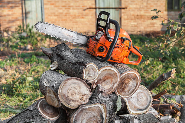 Earle, AR Tree Service Company